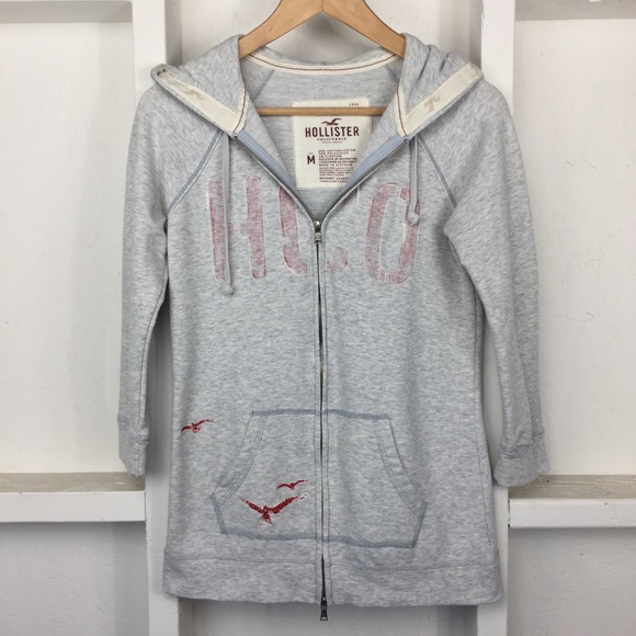 Hollister Tops - Hollister Gray Hoodie With Embroidered Birds